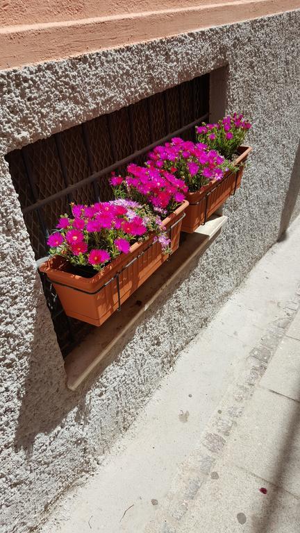 Al Sale Bed & Breakfast Cagliari Eksteriør bilde