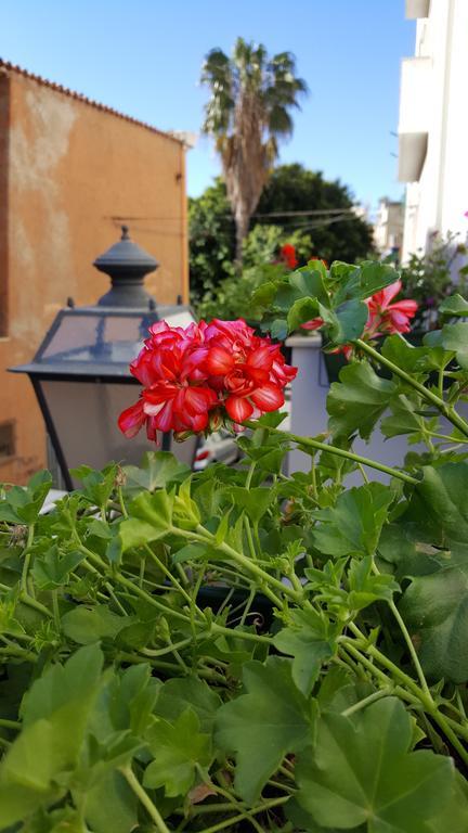 Al Sale Bed & Breakfast Cagliari Eksteriør bilde